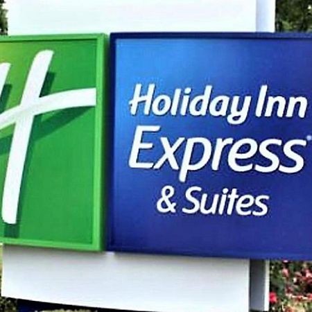Holiday Inn Express & Suites - Detroit - Dearborn By Ihg Exterior foto
